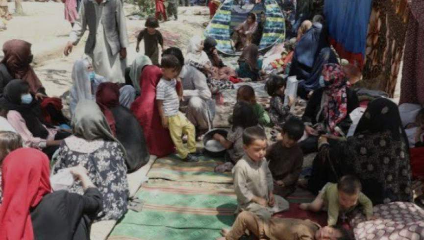 طالبان، گزارش سازمان بین‌المللی مهاجرت مبنی بر مهاجرت 8 میلیون افغان را رد کردند