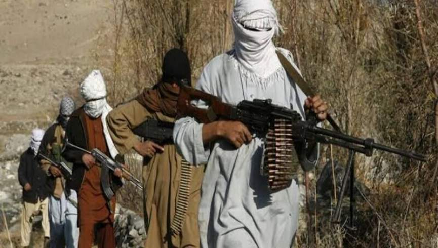 سه عضو تحریک طالبان پاکستان در حمله هواپیمای بی‌سرنشین امریکا در پنجاب کشته شدند