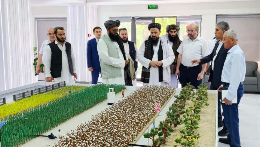 طالبان و اوزبیکستان پیرامون استفاده مشترک از منابع طبیعی گفتگو کردند