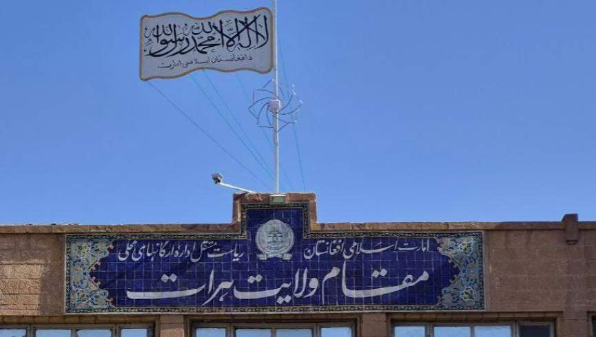 دیدار والی طالبان در هرات با رئیس تاپی و سرقنسول ترکمنستان برای پیشبرد همکاری‌ها