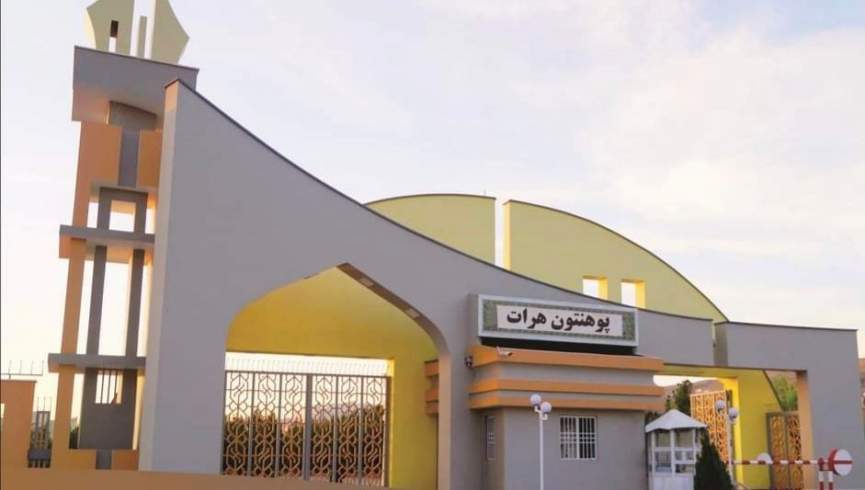 طالبان او د تعلیمي بحران تر سیوري لاندې د مسلکي کسانو د ملاتړ شعار