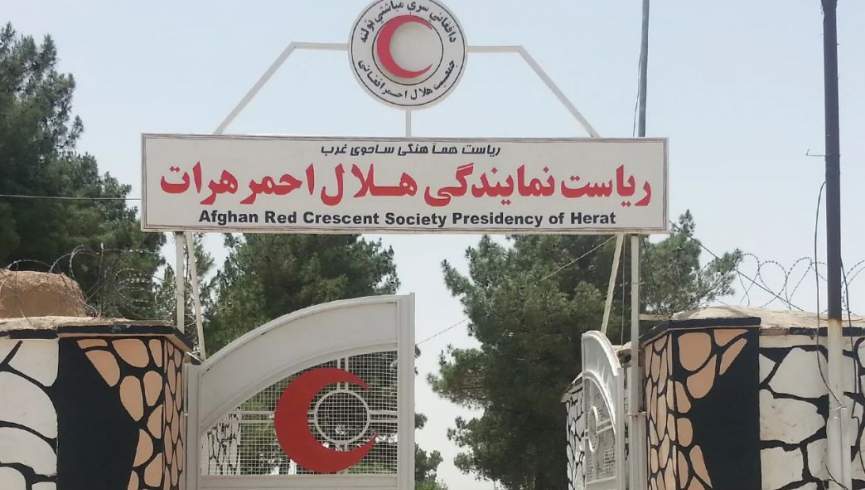 موږ هره ورځ کډوالو ته تر شپږو زرو پورې د خوراکي توکو کڅوړې ویشو