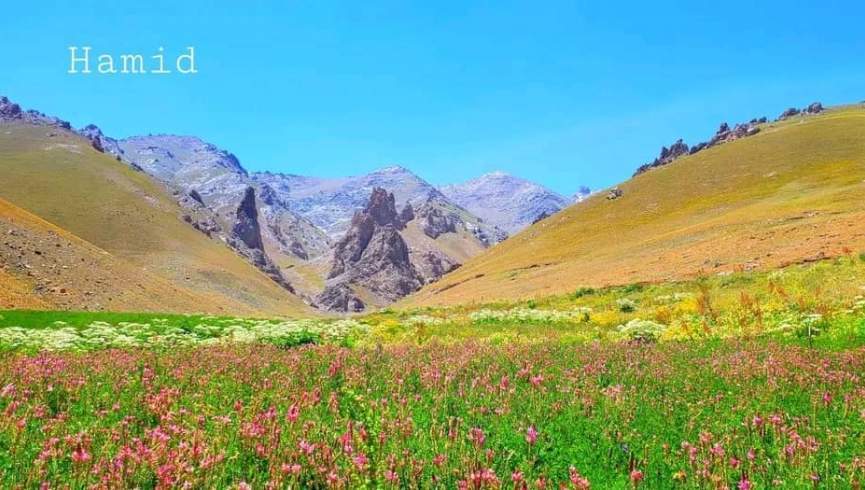 کوچیانو د بامیان په سادات دره یرغل کړی؛ زرګونه پسونه په سیمه ییزو فارمونو ورخوشي کړي
