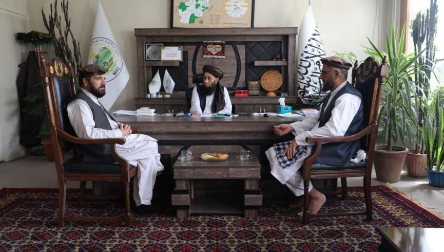 د طالبانو د کرنې او مالدارۍ وزارت مرستیال د TLO د اړیکو دفتر له مشر سره وکتل
