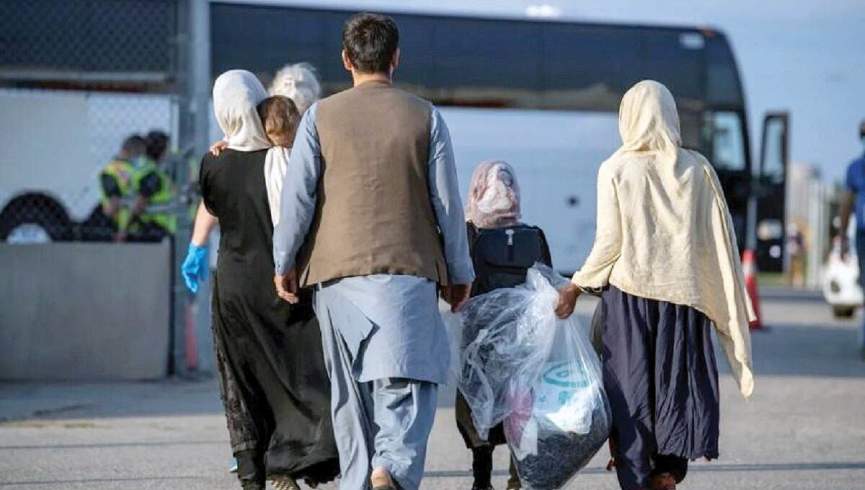 به افغانستان باز نگردید چون بیکار می‌مانید
