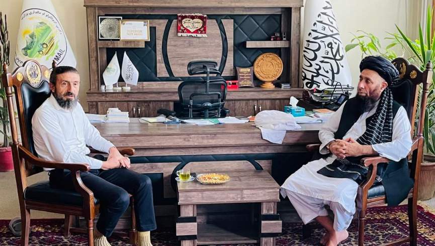 طالبان و ترکیه درباره تطبیق کشت گل آفتاب‌پرست در افغانستان گفتگو کردند