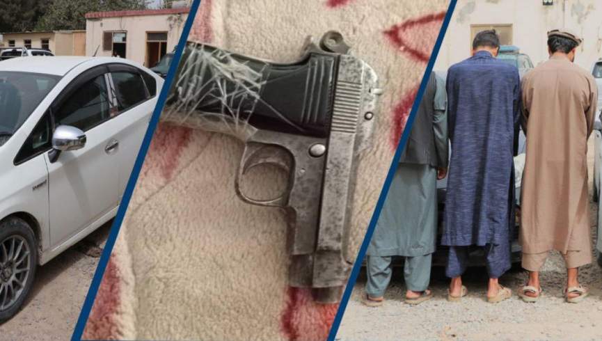 بازداشت 31 تن در پیوند به دزدی، قاچاق و قطع جنگلات