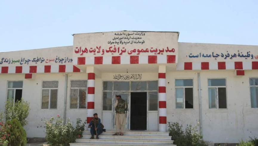 ۱۲۱ نفر از منسوبین طالبان در هرات جواز رانندگی گرفتند
