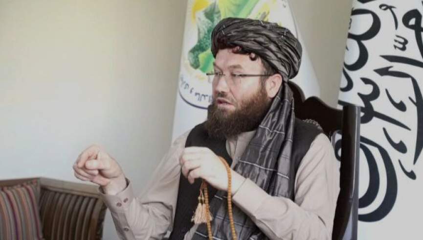 طالبان: د کرنې او مالدارۍ په برخو کې د اسانتیاوو د برابرولو لپاره کار کوو