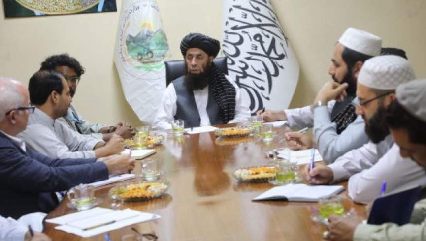 طالبان و فائو بر تمرکز روی تهیه تخم نباتات در افغانستان تأکید کردند
